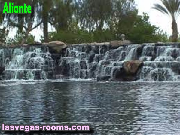 Las Vegas Rooms For Rent in Aliante, NV