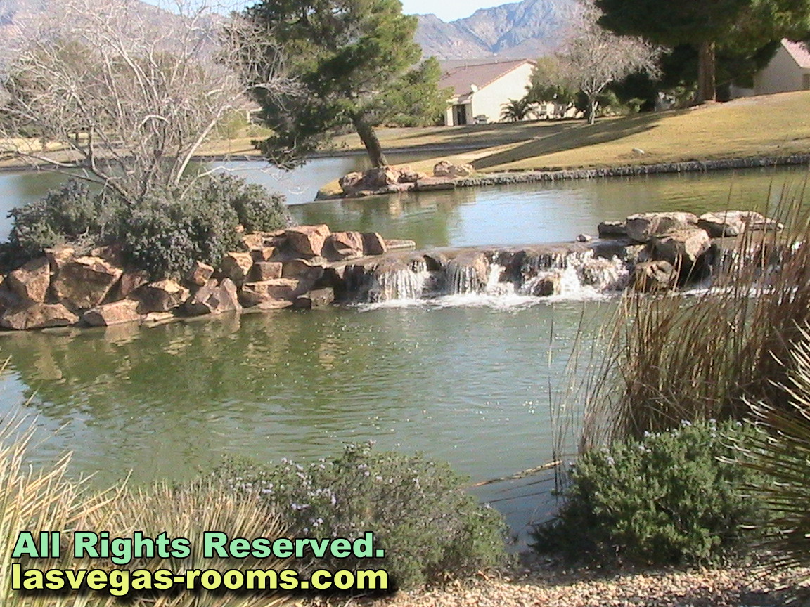 Las Vegas Rooms For Rent in Aliante, NV